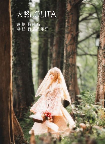 都挺好电视剧免费观看完整版