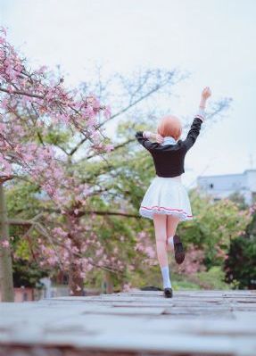 五星级性技