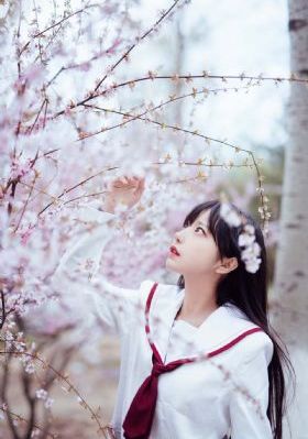 贤内助女王